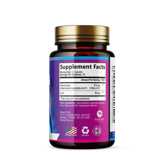 Akkermansia Probiotic – 60 Capsules