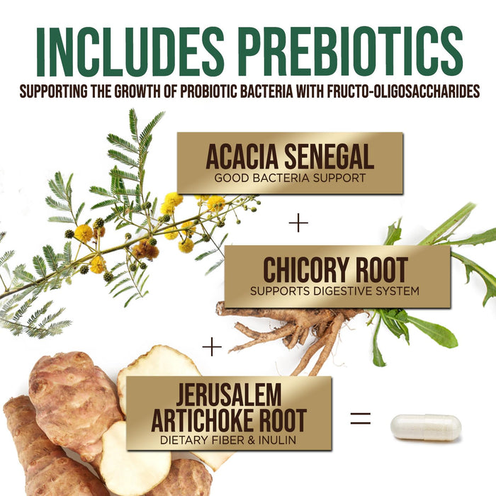 Probiotics 60 Billion CFU + 10 Strains - Daily Probiotic Lactobacillus Blend for Immune, Digestive & Gut Health Support, Prebiotics and Probiotics, Gas & Bloating for Women & Men - 60 Capsules