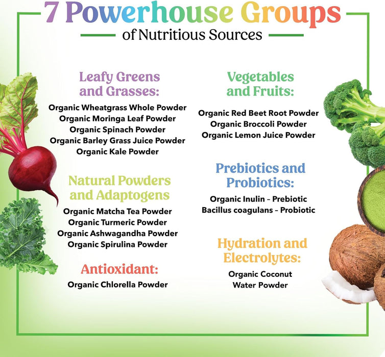 Greens Superfood Powder - Original Organic Super Greens Juice Powder - Packed with Probiotics, Wheat Grass, Enzymes, Spirulina, Chlorella for Digestive & Gut Health, Smoothie Drink Mix - 28 Servings