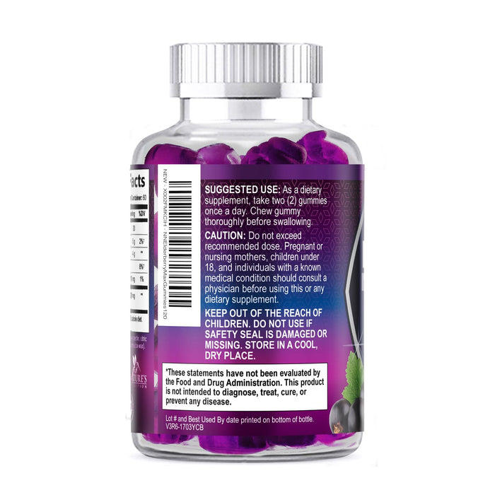 Elderberry Immune Support Gummies - Super Concentrated 35:1 Extract, Equivalent to 4200mg of Elderberries - Sambucus Black Elder Berry Vitamin Supplement, Daily Support for Kids & Adults - 120 Gummies