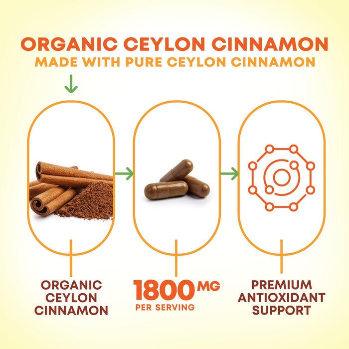 Organic Ceylon Cinnamon Supplement 1800mg - Certified Organic Ceylon Cinnamon Powder Pills - Energy & Heart Support for Women & Men, Bottled in USA, Antioxidant, Gluten Free, Non-GMO - 240 Capsules