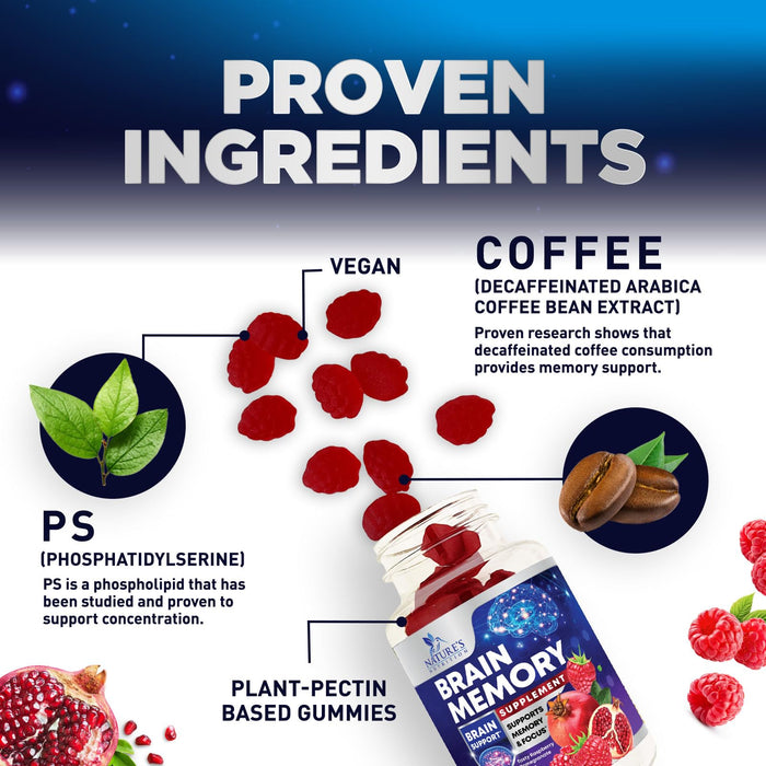 Brain Supplement Gummies for Concentration Memory & Focus Support - Brain Clarity Health with B6 B12, Phosphatidylserine, Coffee Extract, Nootropics Cognitive Vitamins for Adults - 60 Vegan Gummies
