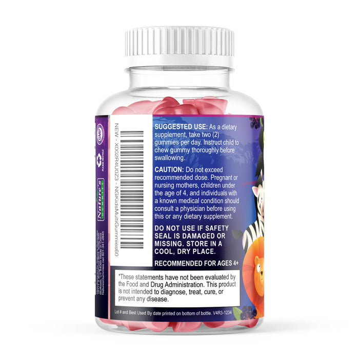 Multivitamin for Kids Gummies with Vitamin C, D3 & Zinc for Children's Immune Support - Chewable, Daily Kids Multi Vitamin Gummy, Non-GMO, Gluten Free, Natural Strawberry Flavor - 60 Gummies
