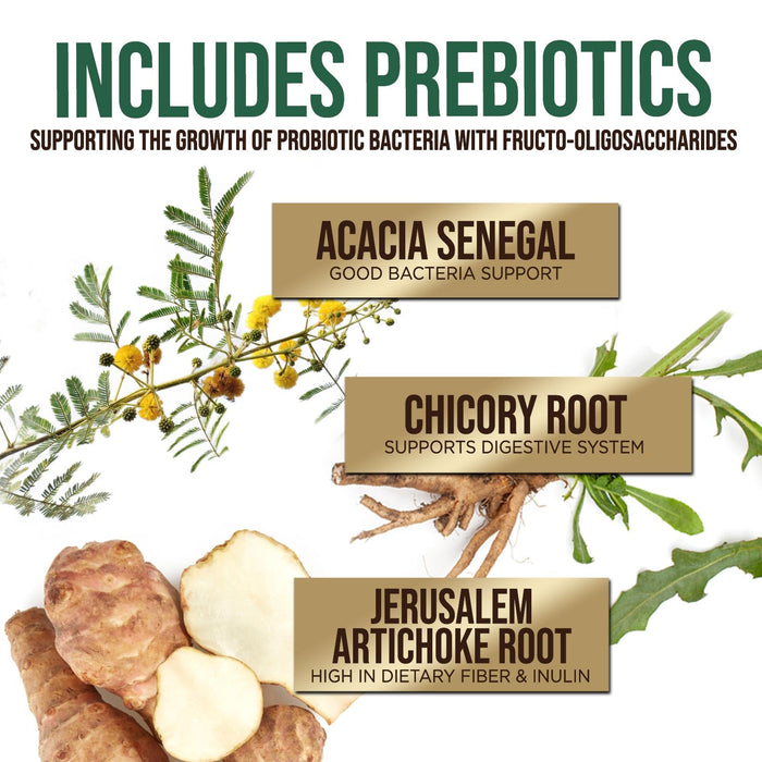 Probiotics 60 Billion CFU + 10 Strains - Daily Probiotic Lactobacillus Blend for Immune, Digestive & Gut Health Support, Prebiotics and Probiotics, Gas & Bloating for Women & Men - 60 Capsules