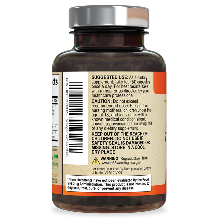 Turmeric Curcumin Supplement 2600mg - with Organic Ginger & Turmeric, 95% Curcuminoids, BioPerine Black Pepper for Best Absorption, Nature's Vegan Joint Support, Non-GMO, Bottled in USA - 120 Capsules