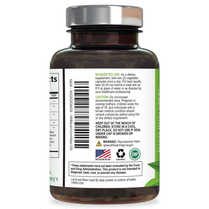 Mushroom Supplement Nootropic 1330mg - 10 in 1 High Strength Brain Supplements Mushroom Complex with Lions Mane, Turkey Tail, Reishi, Cordyceps & Chaga for Memory, Brain & Focus Support - 120 Capsules