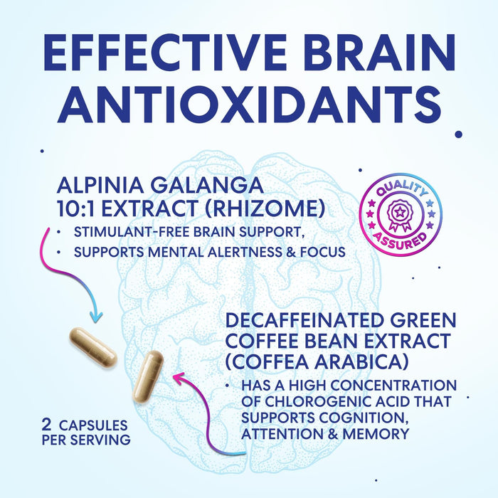 Brain Memory Supplement Pills - Nootropics Support for Concentration, Clarity, Alertness & Focus - Brain Health with Bacopa, Cognitive Vitamins, Phosphatidylserine, DMAE - Brain Booster - 120 Capsules