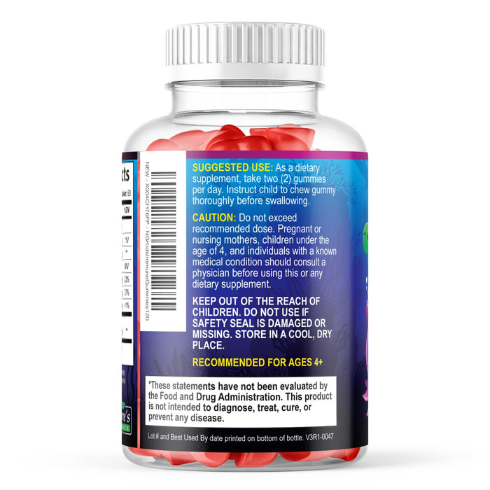 Kids Immune Support Supplement Gummies - Daily Childrens Vitamins C, Zinc & Echinacea - Gummy for Kids Immunity Support, Ages 4 and Up, Natural Berry Flavor, Non-GMO, Gluten-Free & Vegan - 120 Gummies