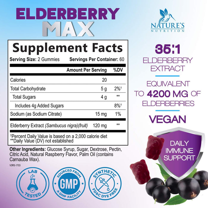 Elderberry Immune Support Gummies - Super Concentrated 35:1 Extract, Equivalent to 4200mg of Elderberries - Sambucus Black Elder Berry Vitamin Supplement, Daily Support for Kids & Adults - 120 Gummies