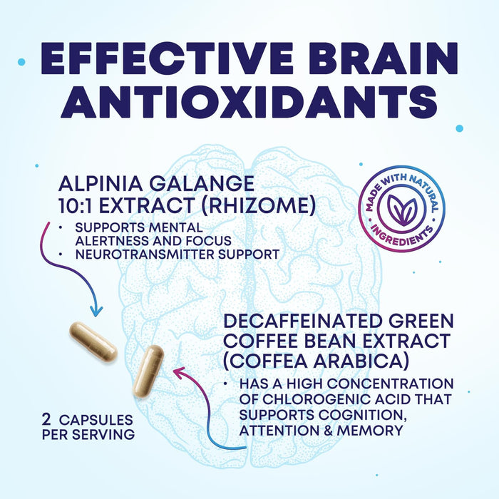 Brain Memory – 60 Capsules