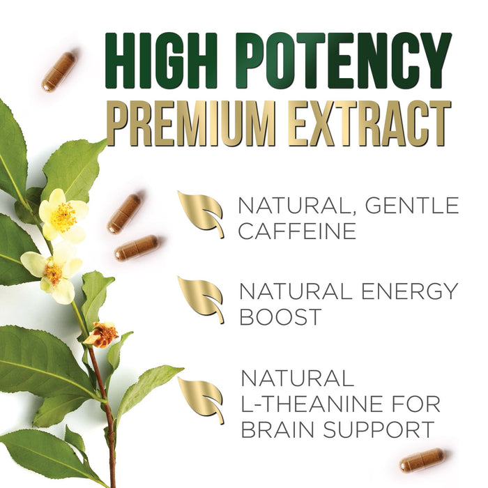 Green Tea Extract Capsules 1000 mg - Standardized 45% EGCG & 98% Polyphenols - 3X Strength Green Tea Pills for Natural Energy - Supports Heart Health, Herbal Supplement, Vegan, Non-GMO - 60 Capsules