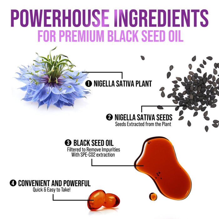 Black Seed Oil Capsules 1000mg with Thymoquinone - Pure Nigella Sativa for Skin Health & Immune Support, 100% Blackseed Oil, Amazing Extraction Above Cold Pressed Black Cumin Seed - 60 Softgels