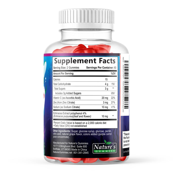 Kids Immune Support Supplement Gummies - Daily Childrens Vitamins C, Zinc & Echinacea - Gummy for Kids Immunity Support, Ages 4 and Up, Natural Berry Flavor, Non-GMO, Gluten-Free & Vegan - 120 Gummies