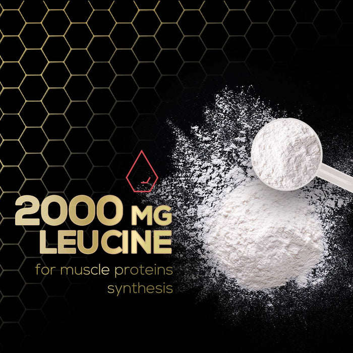 BCAA Powder 4g BCAA Amino Acids 2:1:1, 1g L-Glutamine, Vitamin B6 Complex - Energy Daily Powder Replenisher Post Workout - Muscle Recovery Support Drink for Men & Women, Sugar Free, Keto - 45 Servings