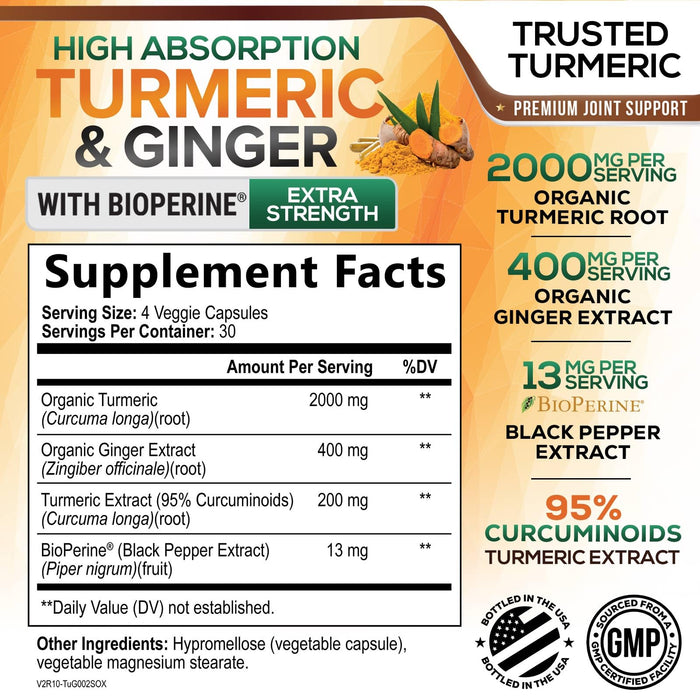Turmeric Curcumin Supplement 2600mg with Organic Ginger & Turmeric, BioPerine Black Pepper Extract 95% Curcuminoids - Advanced Absorption Joint & Antioxidant Extra Strength Support - 120 Capsules
