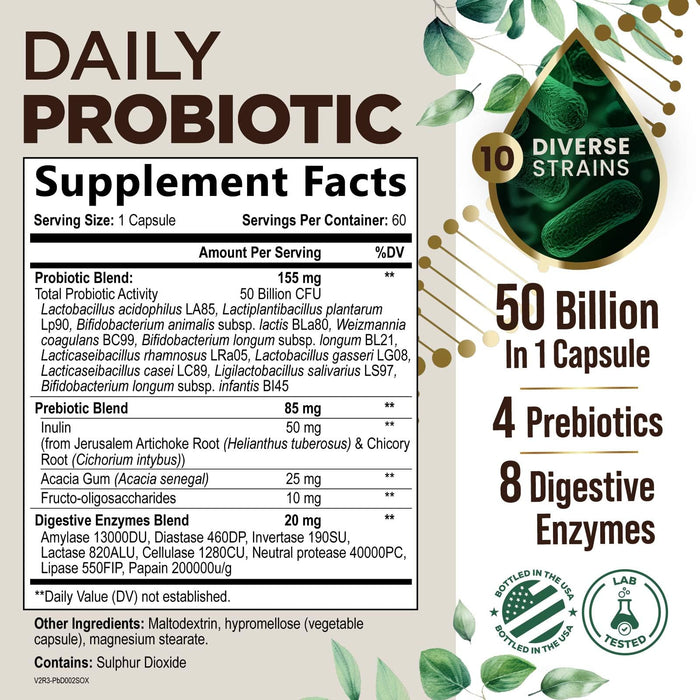 Probiotics 60 Billion CFU + 10 Strains - Daily Probiotic Lactobacillus Blend for Immune, Digestive & Gut Health Support, Prebiotics and Probiotics, Gas & Bloating for Women & Men - 60 Capsules
