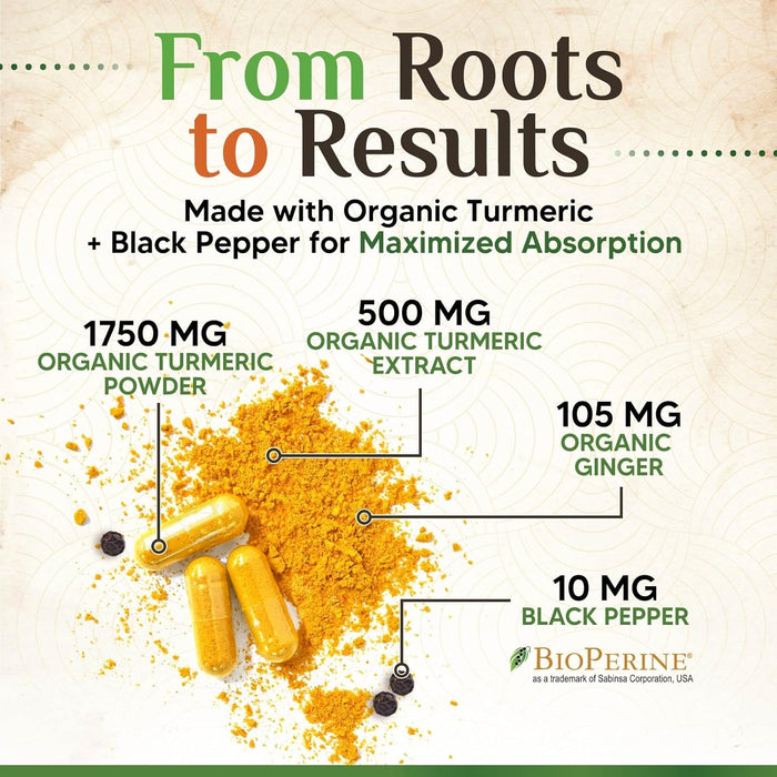 Turmeric Curcumin Supplement 1750mg with Organic Turmeric & Ginger, 95% Curcuminoids, BioPerine Black Pepper for Best Absorption, Nature's Vegan Joint Support, Non-GMO, Bottled in USA - 120 Capsules