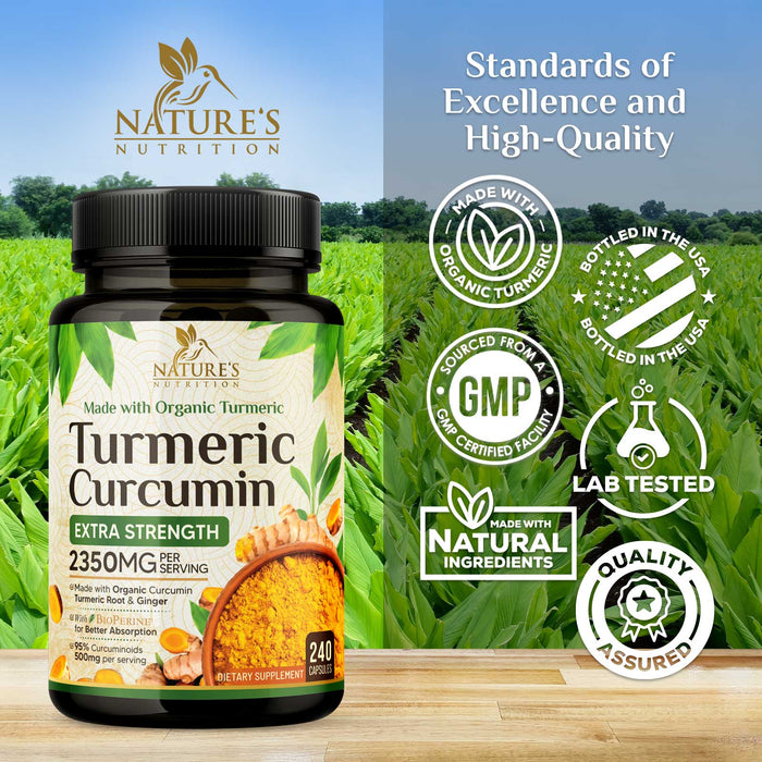 Turmeric Curcumin Supplement 1750mg with Organic Turmeric & Ginger, 95% Curcuminoids, BioPerine Black Pepper for Best Absorption, Nature's Vegan Joint Support, Non-GMO, Bottled in USA - 240 Capsules